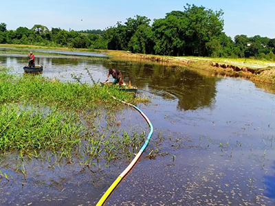 Limpeza do lago