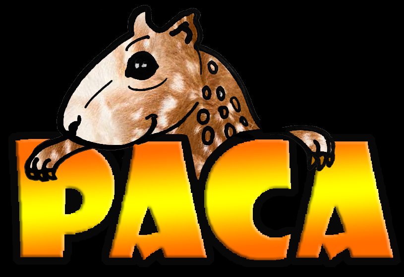 ONG PACA